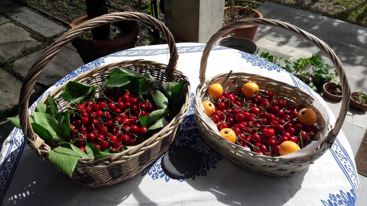 San Salvatore  The Italian Riviera B&B 외부 사진