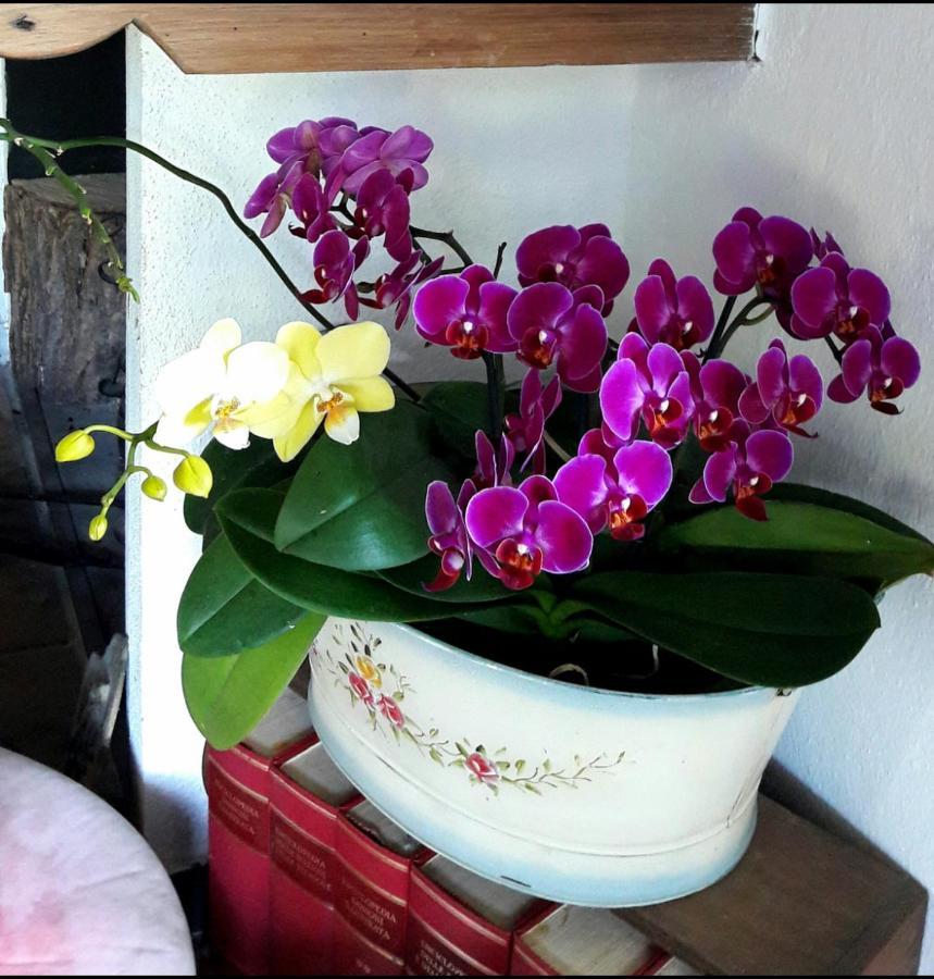 San Salvatore  The Italian Riviera B&B 외부 사진