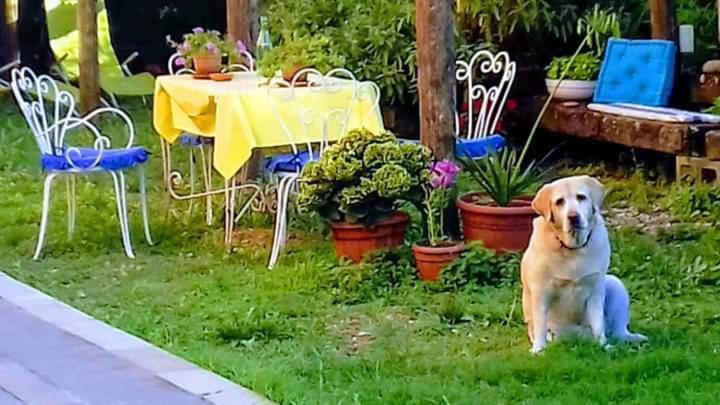San Salvatore  The Italian Riviera B&B 외부 사진